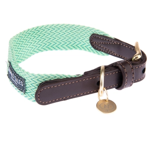 Collier Nomad Tales Bloom menthe, pour chien - taille M : tour de cou ...Vendu parzooplus