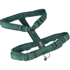 Harnais Nomad Tales Blush, émeraude pour chien  - taille L : tour de poitrail 60 - 91 cm, l 25 mm pas cher