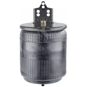 Comparateur de prix : Contitech Soufflet à air, suspension pneumatique CONTINENTAL 6630 N P01