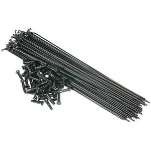 Saltbmx Rayons en acier inoxydable 159 mm avec écrous en laiton - Set de 40 pièces noirsVendu parbikeinn
