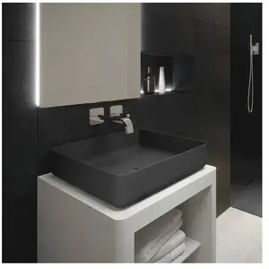 KALDEWEI MIENA Vasque à poser, 909506003667, 3184 pas cher