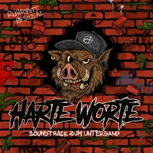 SINGLE de Harte Worte - Soundtrack zum Untergang - pour Indifférent - Standard Standard pas cher