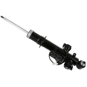Comparateur de prix : SACHS Amortisseur pour BMW: Série 6, Série 5 (Ref: 319 068)