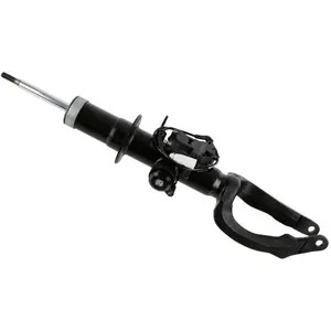 Comparateur de prix : SACHS Amortisseur pour BMW: Série 5, Série 6 (Ref: 319 058)