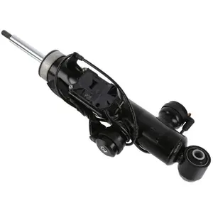 Comparateur de prix : SACHS Amortisseur pour BMW: Série 5 (Ref: 319 055)