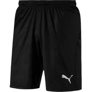 Comparateur de prix : Short Puma Liga Core M Noir