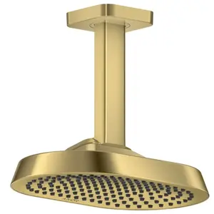 AXOR ShowerSphere Douche de tête, 1 jet, 39763950, pas cher