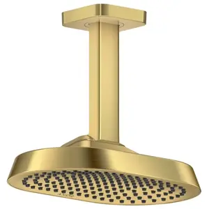 AXOR ShowerSphere Douche de tête, 1 jet, 39764250, pas cher