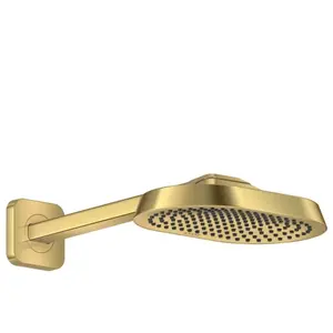 AXOR ShowerSphere Douche de tête, 1 jet, 39755250, pas cher