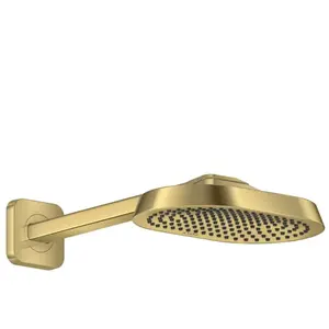 AXOR ShowerSphere Douche de tête, 1 jet, 39754950, pas cher