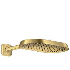 AXOR ShowerSphere Douche de tête, 1 jet, 39748250, pas cher