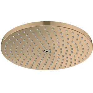 hansgrohe Raindance S Douche de tête, 1 jet, 27623140, pas cher
