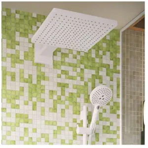 hansgrohe Raindance E Set de douche de tête, 1 jet, 26239700, pas cher