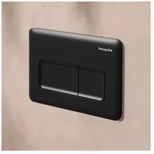 hansgrohe iFrame Original Q Plaque de déclenchement pour WC, 66001670, pas cher