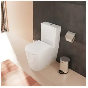 hansgrohe EluPura S Cuvette au sol avec AquaFall Flush, 62034450, pas cher