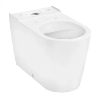 hansgrohe EluPura S Cuvette au sol avec AquaFall Flush, 61163450, pas cher