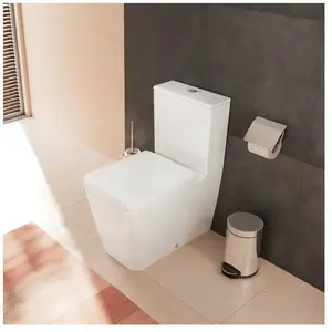 hansgrohe EluPura Q Cuvette au sol avec AquaFall Flush, 62036450, pas cher