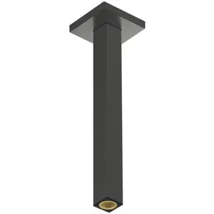 hansgrohe Universal Bras de douche, 24339340, pas cher