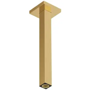hansgrohe Universal Bras de douche, 24339990, pas cher