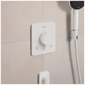 Comparateur de prix : Hansgrohe - Ecostat Comfort Q Thermostat Encastré Pour 2
