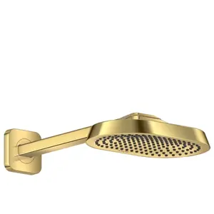 AXOR ShowerSphere Douche de tête, 1 jet, 39754990, pas cher