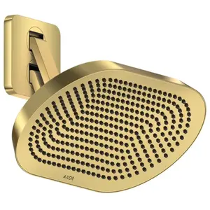 AXOR ShowerSphere Douche de tête, 2 jets, 39746990, pas cher