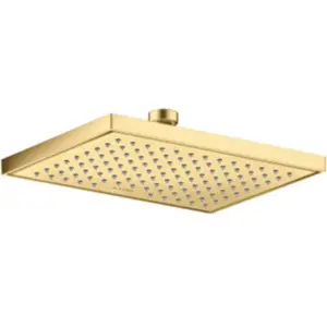 AXOR ShowerSolutions Douche de tête, 1 jet, 35387250, pas cher
