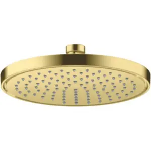 AXOR ShowerSolutions Douche de tête, 1 jet, 35383950, pas cher