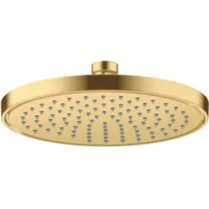 AXOR ShowerSolutions Douche de tête, 1 jet, 35383250, pas cher