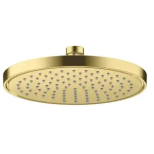 AXOR ShowerSolutions Douche de tête, 1 jet, 35382950, pas cher