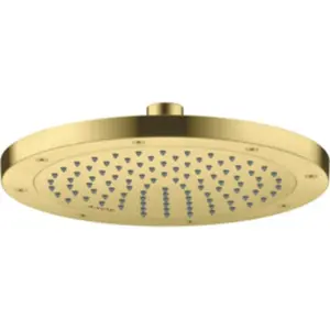 Hansgrohe AXOR ShowerSolutions Douche de tête, 1 jet, 35389950, pas cher