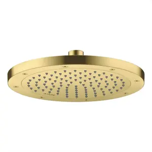 Hansgrohe AXOR ShowerSolutions Douche de tête, 1 jet, 35381950,