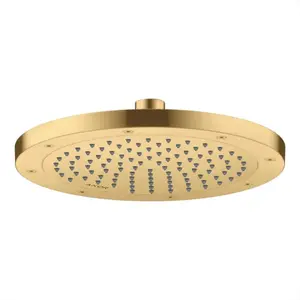 Hansgrohe AXOR ShowerSolutions Douche de tête, 1 jet, 35389250, pas cher