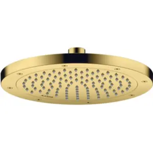 Hansgrohe AXOR ShowerSolutions Douche de tête, 1 jet, 35381990, pas cher