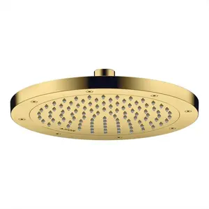 Hansgrohe AXOR ShowerSolutions Douche de tête, 1 jet, 35389990, pas cher