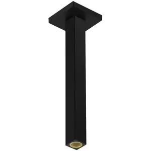 hansgrohe Universal Bras de douche, 24339670, pas cher