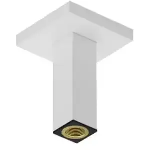 hansgrohe Universal Bras de douche, 24338700, pas cher