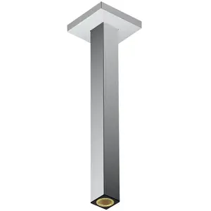 hansgrohe Universal Bras de douche, 24339000, pas cher