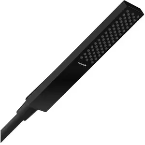 Comparateur de prix : Pommeau de douche Pulsify E 100 EcoSmart+ Noir mat Hansgrohe