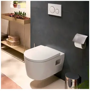 Comparateur de prix : hansgrohe EluPura Original S Cuvette suspendue avec AquaChannel Flush,...