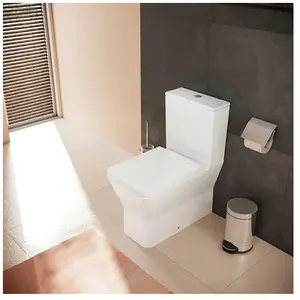 Hansgrohe Wc à poser sans bride Elupura Original qVendu pardarty