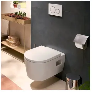 EluPura Original s wc suspendu, AquaChannel Flush, - HansgroheVendu paramazon
