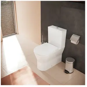 hansgrohe EluPura Original S Cuvette au sol avec AquaChannel Flush, 60...Vendu paramazon