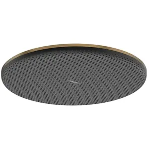 hansgrohe Raindance Alive S Douche de tête, 1 jet, 24520140, pas cher