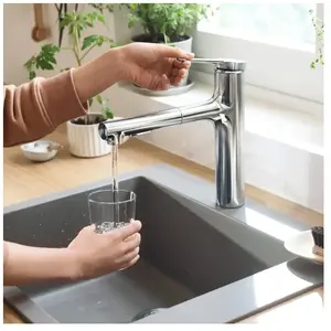 Hansgrohe Zesis M33 - Mitigeur d'évier Avec Douchette Extractible, ChVendu paramazon