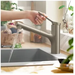 Hansgrohe Hans Grohe Hg Kitchen Mixer 150 Zesis M33 Metal Pull-Out Spr... pas cher