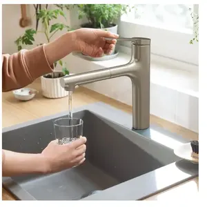 Hansgrohe Zesis M33 Mitigeur d évier avec douchette extractible, aspec...Vendu paramazon
