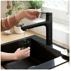 Hansgrohe Zesis M33 Mitigeur d'évier avec douchette extractible, noir ...Vendu paramazon