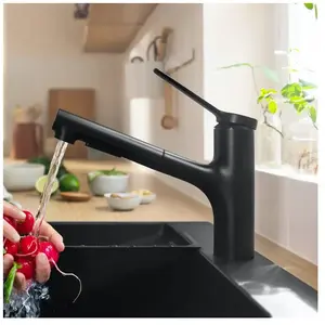 Comparateur de prix : Hansgrohe Robinet de cuisine avec douchette Zesis M33 150 2 jets noir mat TU