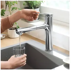 Comparateur de prix : Hansgrohe Robinet de cuisine avec douchette Zesis M33 160 2 jets chromé TU